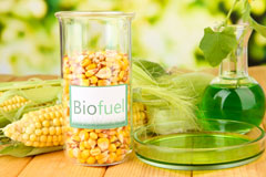 The Hague biofuel availability